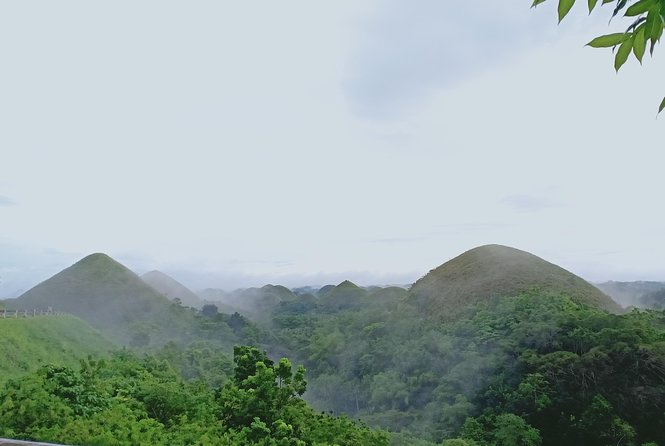 Private Day Trip Cebu to Bohol w/ Chocolate Hills & Loboc Cruise - Philippine tarsiers and the wildlife sanctuary stops: small bodies, huge charm