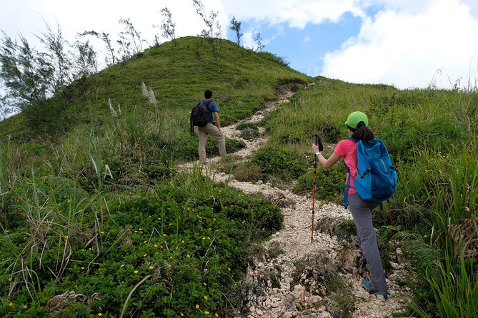 Private Kawasan Falls and Osmena Peak Day Trip from Cebu City - Osmeña Peak: a short hike with sea views and a peaceful feel