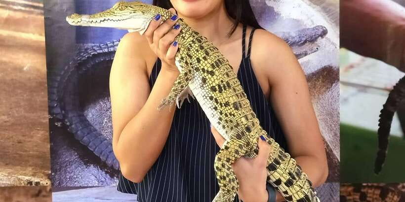 Puerto Princesa City Tour with Snacks - Mitras Ranch: a change of pace with animal time