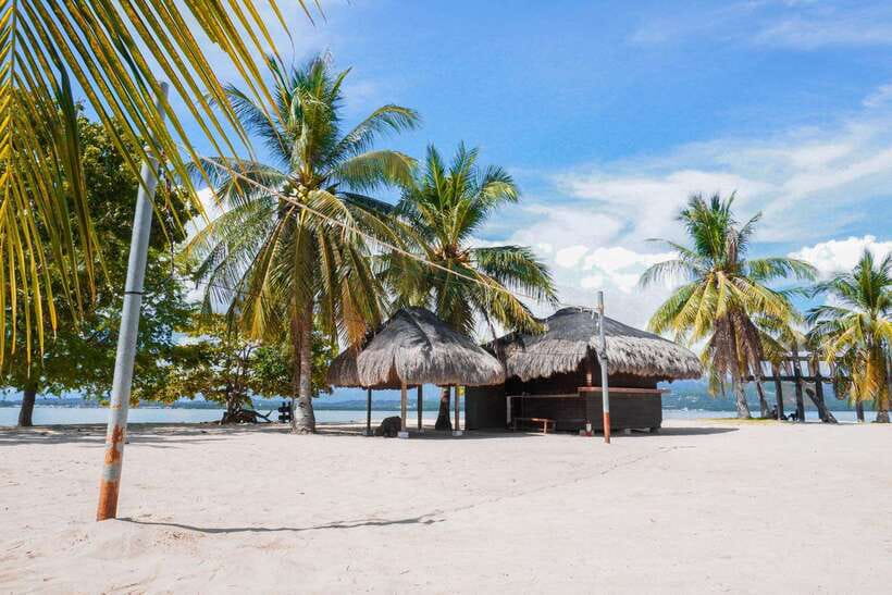 Puerto Princesa: Cowrie Island Guided Day Tour with Meal - BBQ brunch included: what you’ll eat and why it feels worth it