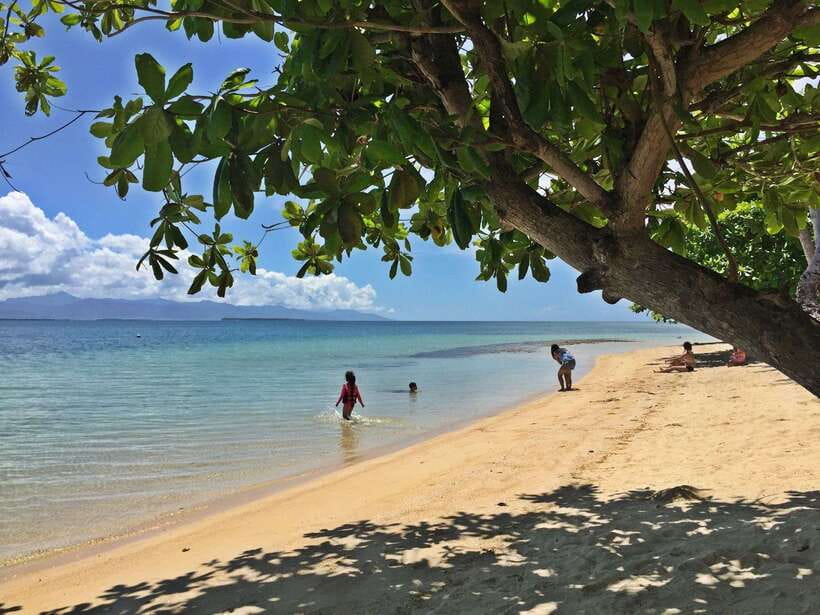 Puerto Princesa: Cowrie Island Guided Day Tour with Meal - Hotel pickup to wharf steps: the part you should not waste time on