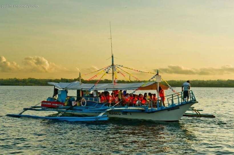 Puerto Princesa: Firefly Watching Bay Cruise with Dinner - Who this cruise suits best (and who might skip it)