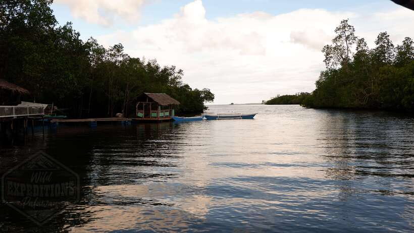 Puerto Princesa: Firefly Watching Paddle Boat Tour & Dinner - Key Things That Make This Tour Work Well
