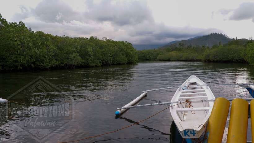 Puerto Princesa: Firefly Watching Paddle Boat Tour & Dinner - Swag Restaurant Dinner Plus a River Cruise in One Ticket