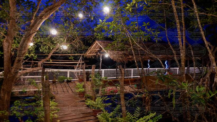 Puerto Princesa: Firefly Watching Paddle Boat Tour & Dinner - Baywalk Meet-Up and the Motorized Transfer: Why It’s Not Just “Getting There”