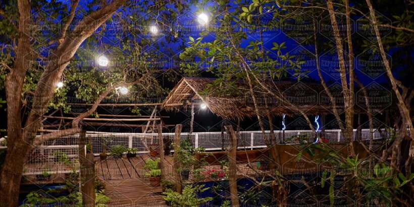 Puerto Princesa: Firefly Watching Paddle Boat Tour & Dinner - The Firefly Cruise: What You’ll Notice On the River