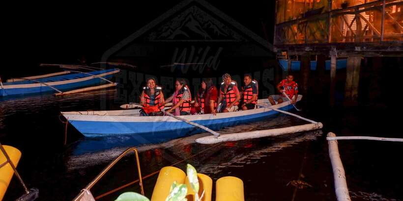 Puerto Princesa: Firefly Watching Paddle Boat Tour & Dinner - Best Time to Go: When Fireflies Tend to Be Most Impressive