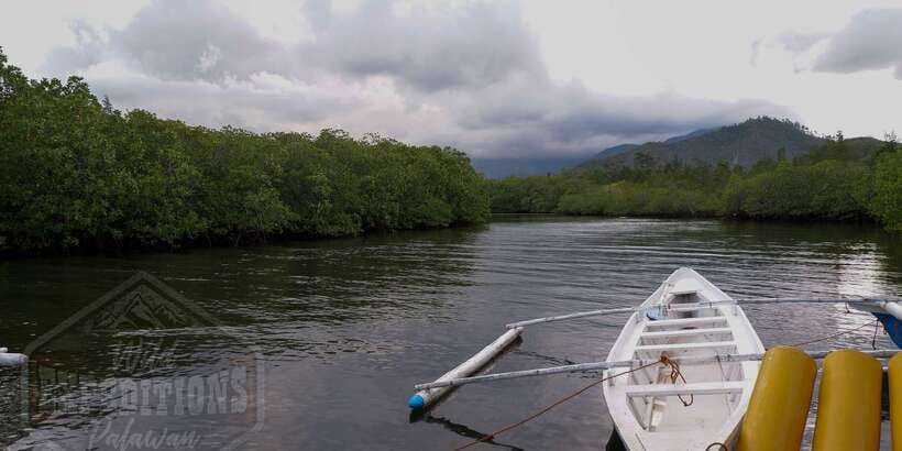 Puerto Princesa: Firefly Watching Paddle Boat Tour & Dinner - Price and Value: Why $27 Makes Sense for a 4-Hour-Style Evening