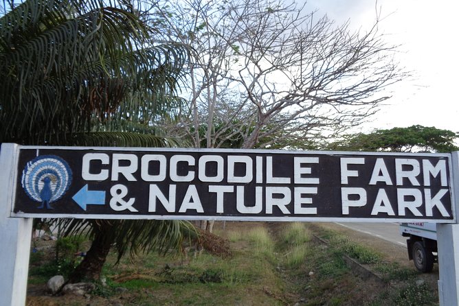 Puerto Princesa half day City tour a sightseeing excursion - Hotel Pickup and a Half-Day Plan That Feels Less Stressful