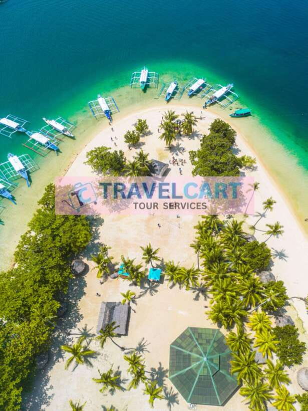 Puerto Princesa Honda Bay Island Hopping - Pambato Reef: reef viewing, snorkeling time, and marine life