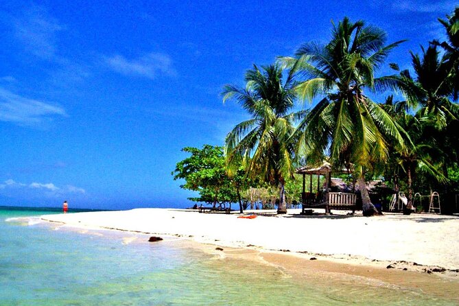 Puerto Princesa: Honda Bay Island Hopping with Buffet Lunch - Wharf check-in, permits, and the environmental fee you pay on the day