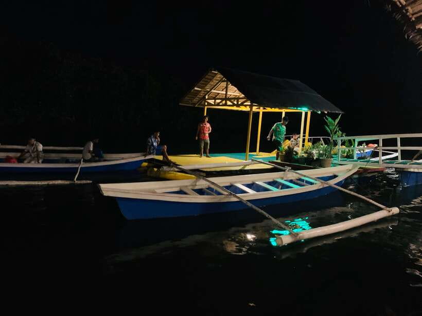 Puerto Princesa: Jungle Firefly Watching Boat Tour & Dinner - Fireflies After Dark in Puerto Princesa’s Mangrove Night World
