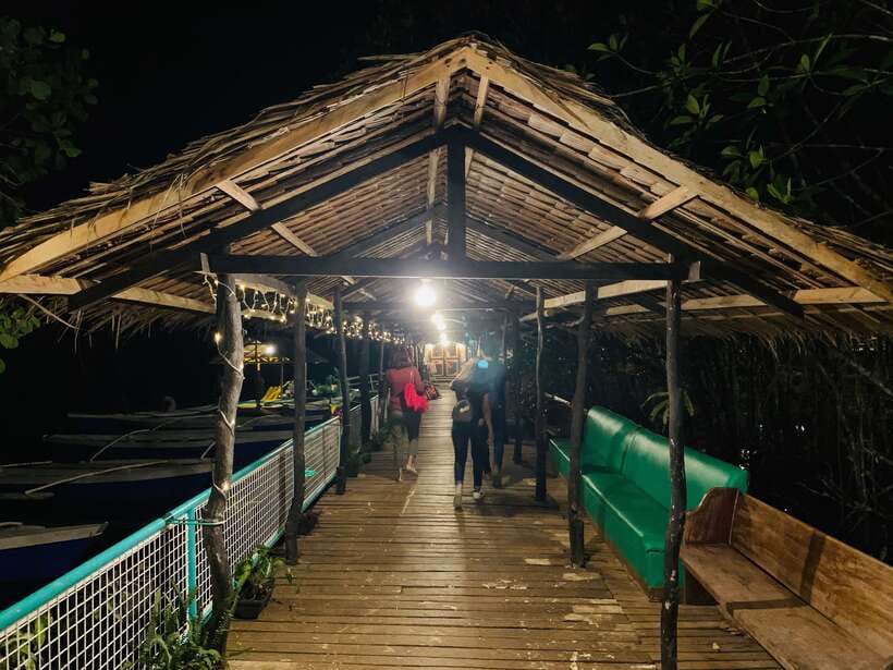 Puerto Princesa: Jungle Firefly Watching Boat Tour & Dinner - The Drive Away from City Lights (About 45 Minutes) Is the Real Magic