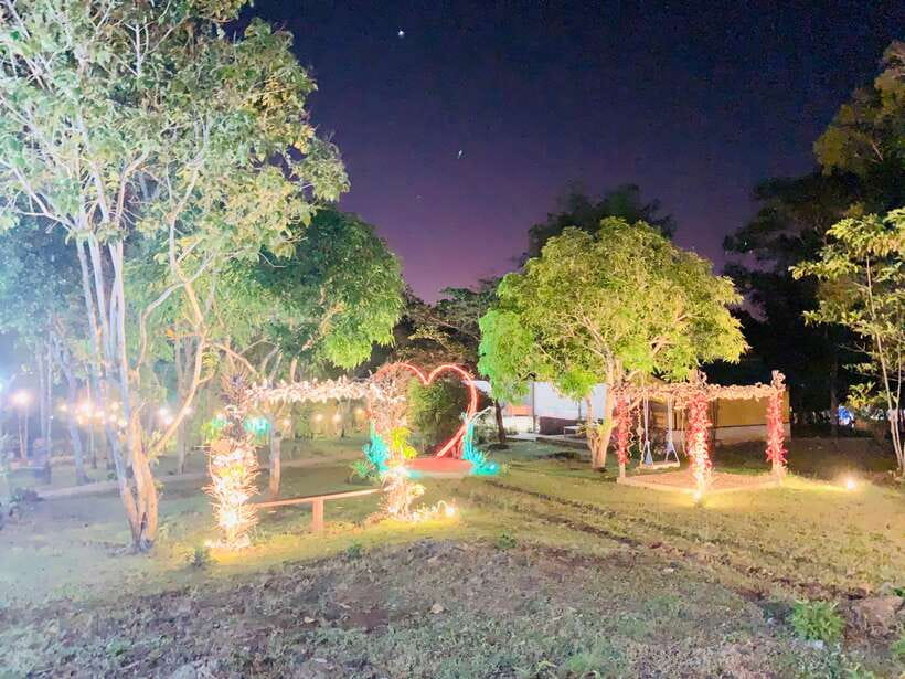 Puerto Princesa: Jungle Firefly Watching Boat Tour & Dinner - Price and Value: What $32 Covers in Real Terms