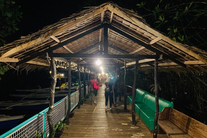 Puerto Princesa Jungle River Firefly Watching - Kitu-KiTo DMakarios: What the Firefly Watching Portion Feels Like