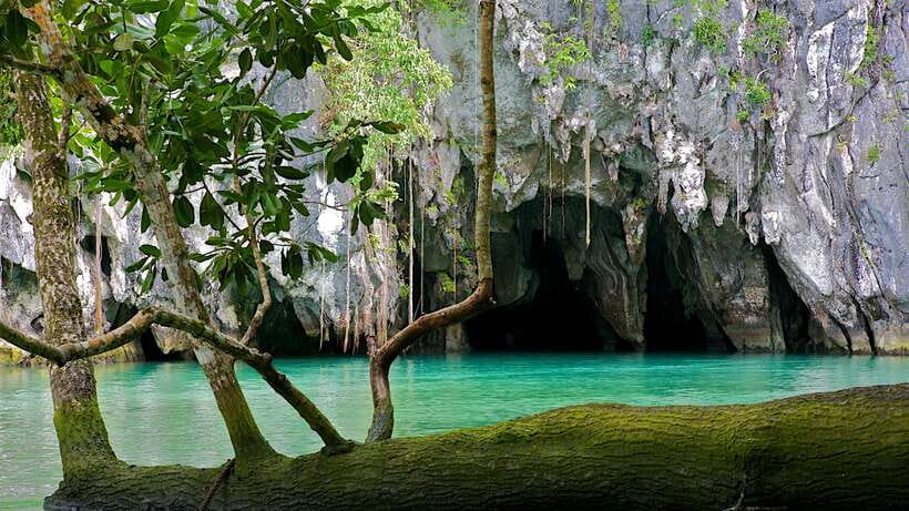 Puerto Princesa: Private Full-Day Tour To Underground River - Puerto Princesa Underground River, private and practical