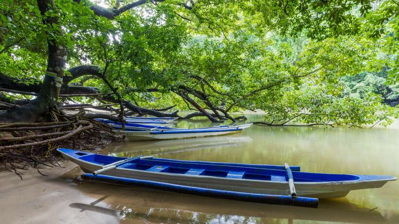 Puerto Princesa Underground River Tour in Palawan - Boat Transfer and Arrival at the Underground River National Park