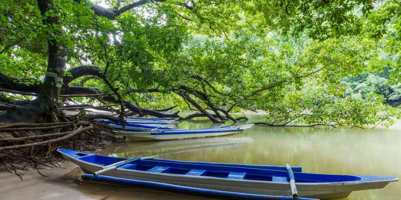 Puerto Princesa Underground River Tour in Palawan - What to Pack and Rules That You Actually Need to Follow