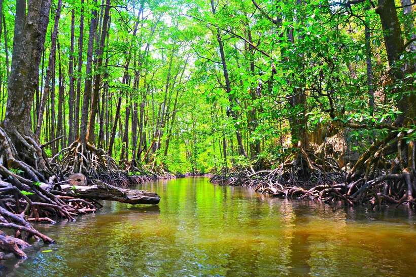 Puerto Princesa: Underground River, Zipline, Paddleboat Tour - Who This Tour Suits Best, and Who Should Skip It
