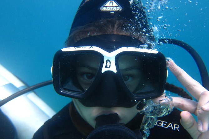 Scuba Diver Course (PADI) - Key highlights you’ll care about