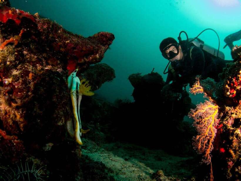 Scuba Diving in Boracay: SSI Basic Diver for Beginners - Gear, boat time, and the safety-first vibe that matters