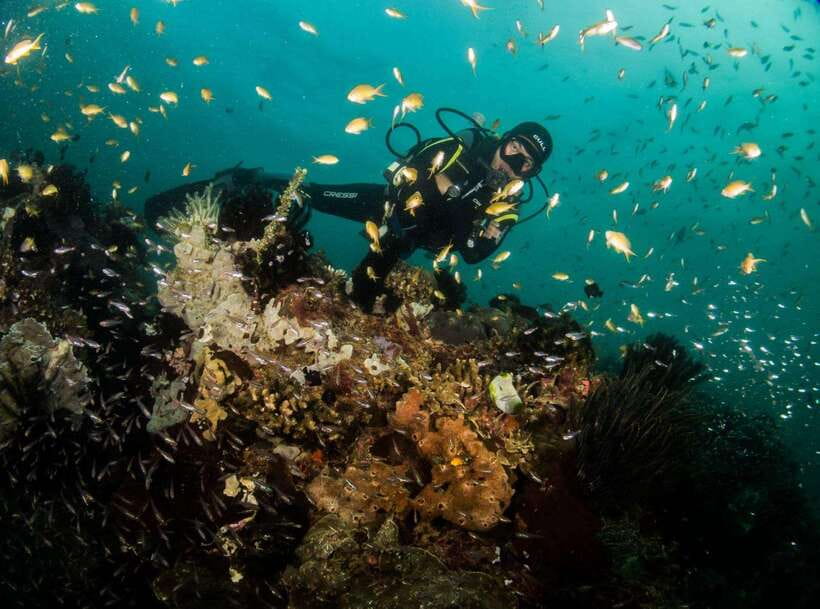 Scuba Diving in Boracay: SSI Basic Diver for Beginners - Price value: why $63 can make sense for a real intro