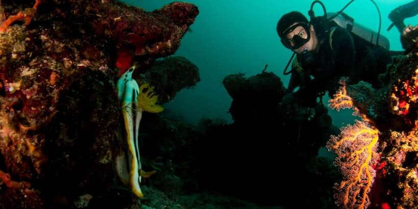 Scuba Diving in Boracay: SSI Basic Diver for Beginners - Practical prep: what to bring, what to avoid, and who should skip it
