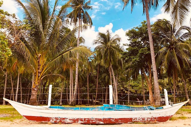 Shared Honda Bay Island Hopping Tour - Why Honda Bay’s Lu-Li and Cowrie Islands work so well