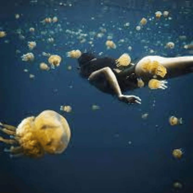 Siargao:Sohoton Island Hopping Tour with Jellyfish Sanctuary - Hagukan Cave and Magkukuob Cavern: where the day turns underground