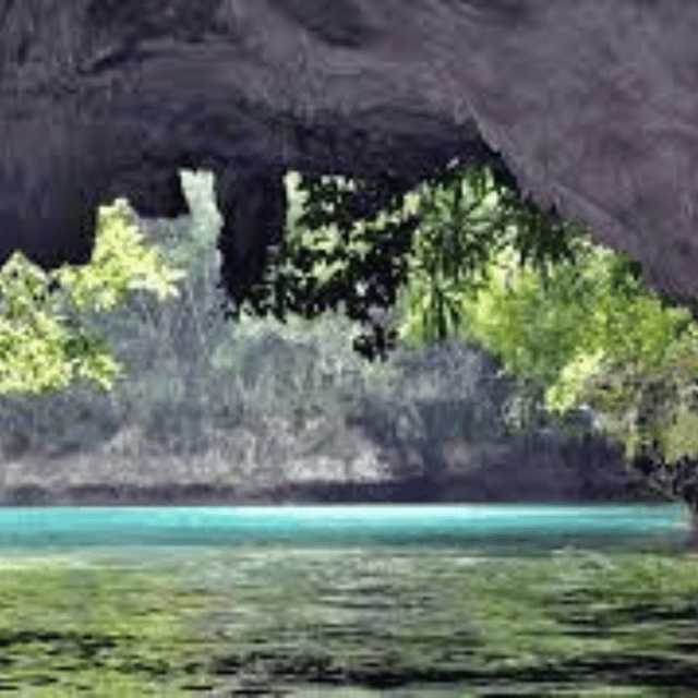 Siargao:Sohoton Island Hopping Tour with Jellyfish Sanctuary - Jellyfish Sanctuary: the highlight swim, and how to make it work