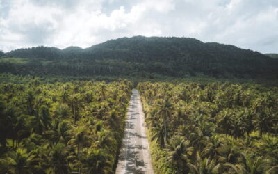 Siargao Tour G (Private Tour)