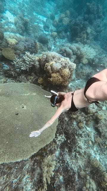 Siquijor: Freediving Adventure with Lunch and Beach Time - The Filipino lunch that powers the afternoon