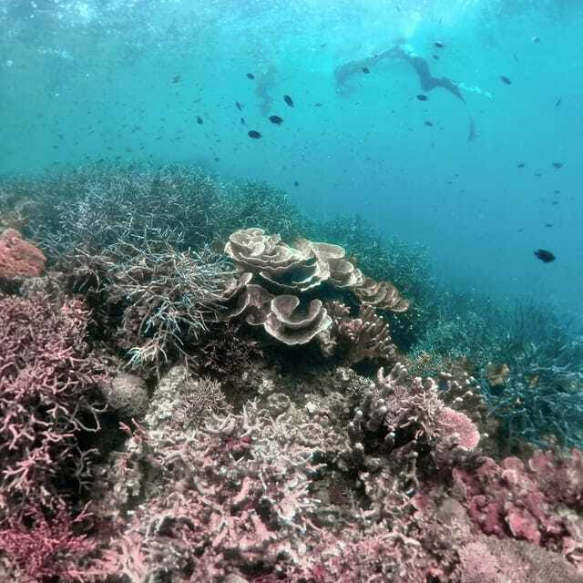 Siquijor: Freediving Adventure with Lunch and Beach Time - Paliton Beach: the calm landing after water time