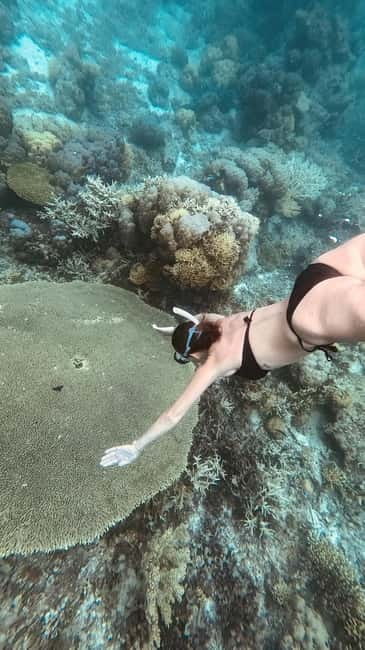 Siquijor: Jeepney Island Tour with Snorkeling - The day’s timing: 8 or 9 AM start, 4 PM finish