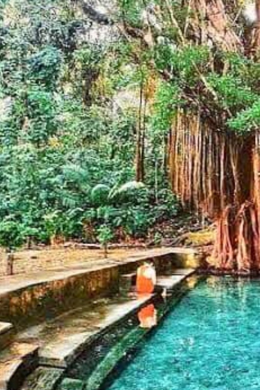 Siquijor Mountain Day Tour From Dumaguete (Private Tour) - Old Enchanted Balete Tree Fish Spa: A Strange, Fun Siquijor Classic