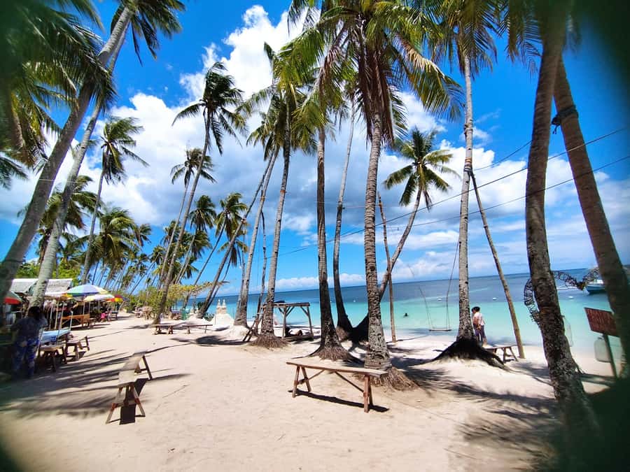 Siquijor: Siquijor Island Tour Cambugahay Falls Private - Salagdoong Beach: two coves, snorkeling time, and beach-to-reef scenery