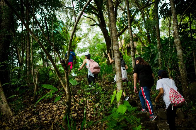 Skip the Line: Hike Eat Swim at Mount Purro Nature Reserve Ticket - Why Mount Purro feels like a real escape near Manila