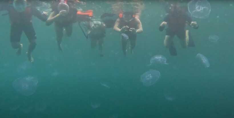 Sohoton Cove: Swim with Jellyfish & Explore Hidden Lagoons - Hidden lagoons after the caves: your best photo and swim window