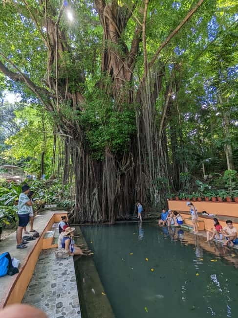 The Best of Siquijor Island Tour - Key highlights at a glance