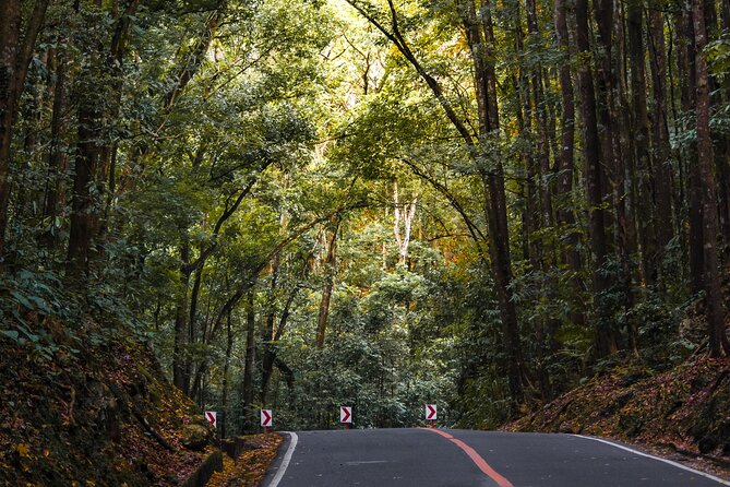 The tour of the must-see sites of Bohol - Panglao Falls, a Lunch-Adjacent Recharge