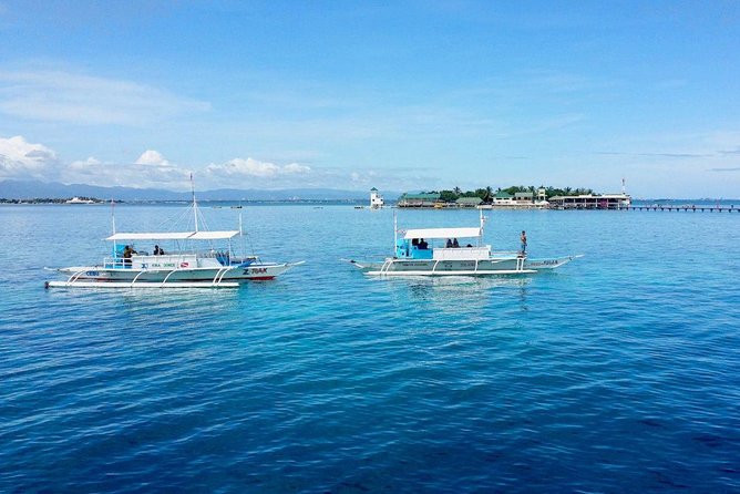 Twin Island Snorkeling Adventure at Hiltungan and Nalsuan - What snorkeling at Nalusuan Marine Sanctuary can look like
