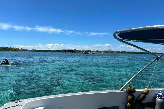 Twin Island Snorkeling Adventure at Hiltungan and Nalsuan - How long it lasts, and how to fit it into a Cebu day