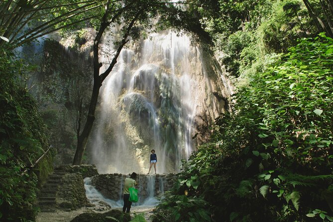 Whale Shark Encounter and Tumalog Waterfalls Tour - Whale Shark Briefing: The Rules That Make the Day Work