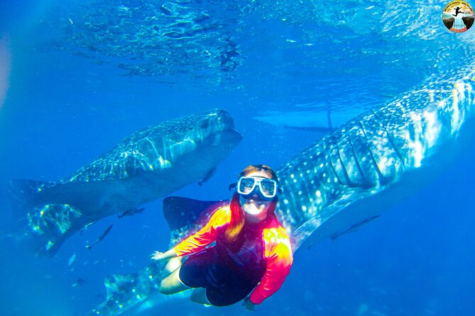 Whale Shark Swimming, Tumalog Falls and Kawasan Canyoneering - Price and value: what $180 covers in real terms