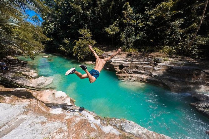Whale Shark Watching & Tumalog Falls & Kawasan Falls - Oslob whale shark watching, with snorkeling or swimming fees handled
